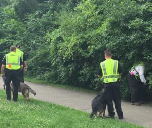 Investigators search for evidence in Hines Park